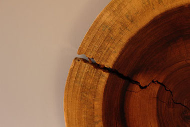 Diseno