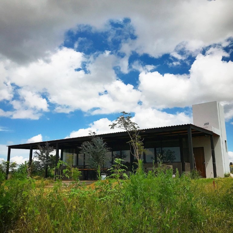 Oficinas Verde Ligero